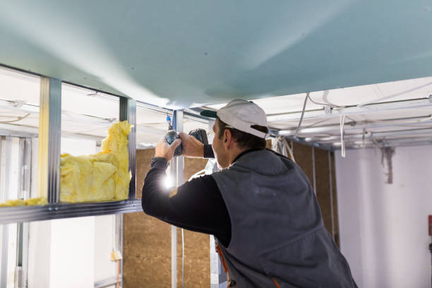 Best Specialized Insulation Services in Kellogg, ID
