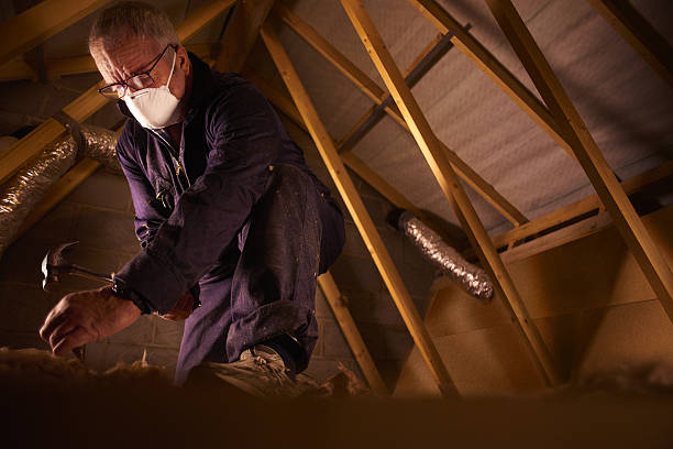 Best Eco-Friendly Insulation in Kellogg, ID